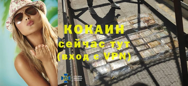 ALPHA-PVP Гусев