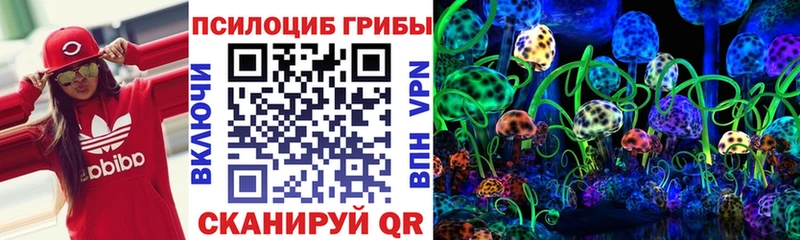 купить  цена  Энгельс  Галлюциногенные грибы MAGIC MUSHROOMS 
